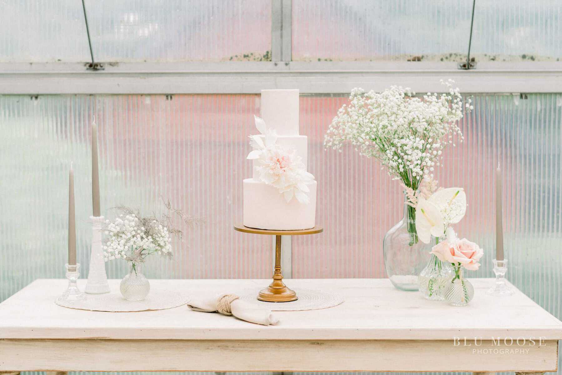 Jen Barney Wedding Cake, Meringue Bakery & Cafe - La Crosse