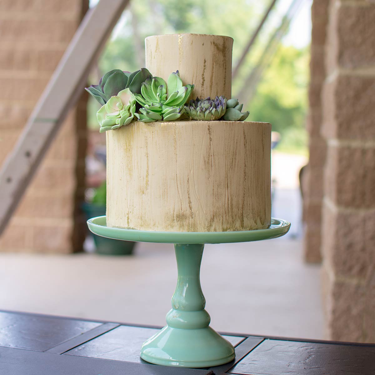 Birch Cake with Succulents